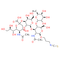 CA19-9 derivate 2