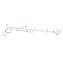Biotinylated leptomycin B