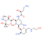 Plazomicin