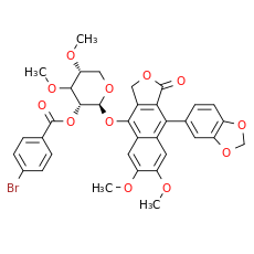 ECDD-S18