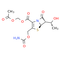 Ritipenem acoxil