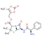 Lenampicillin