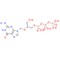 Ganciclovir triphosphate