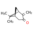 trans-pinocarvone - CAS