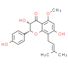 (2R)-3α, 7, 4'-Trihydroxy-5-methoxy-8-prenylflavanone