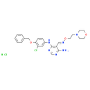 JNJ28871063 hydrochloride - CAS