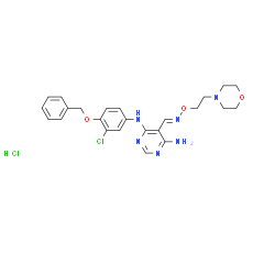 JNJ28871063 hydrochloride - CAS