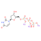 dUTP trisodium - CAS# 102814-08-4