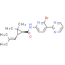 BRD-8000.3 - CAS