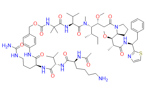 AcLys-PABC-VC-Aur0101 - CAS