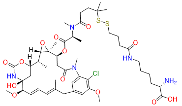 Lys-Nε-SPDB-DM4 - CAS