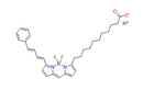 BODIPY 581/591 C11 - CAS