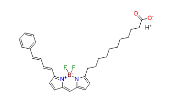 BODIPY 581/591 C11 - CAS