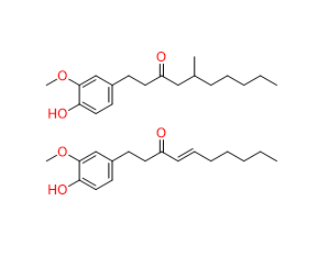 Ginger extract