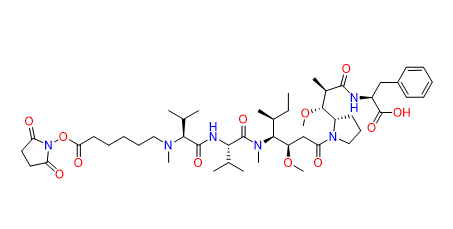 NHS-Modified MMAF - CAS
