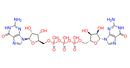 Diguanosine 5′-triphosphate