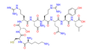 Smcy HY Peptide (738-746) - CAS