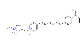FM4-64 - CAS