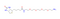Biotin-PEG4-amine