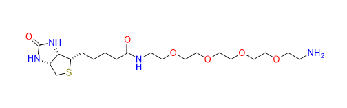 Biotin-PEG4-amine