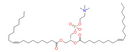 1, 2-Dioleoyl-sn-glycero-3-phosphocholine