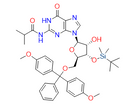5'-DMT-3'-TBDMS-ibu-rG