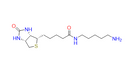 5-(Biotinamido)pentylamine