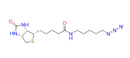 5-(Biotinamido)pentylazide
