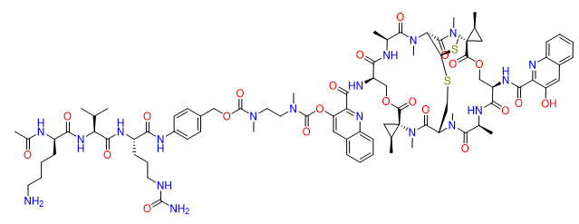 AcLysValCit-PABC-DMAE-SW-163D