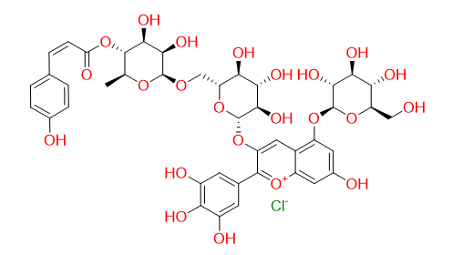 Nasunin - CAS