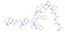 Caloxin 2A1