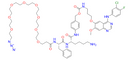 N3-PEG8-Phe-Lys-PABC-Gefitinib