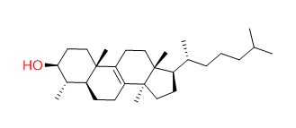 31-Norlanostenol