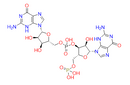 5'-Phosphoguanylyl-(3', 5')-guanosine