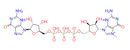 7-Methyl-diguanosine triphosphate