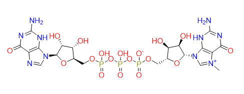 7-Methyl-diguanosine triphosphate