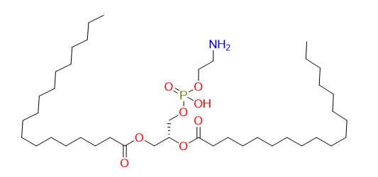 1, 2-Distearoyl-sn-glycero-3-phosphorylethanolamine