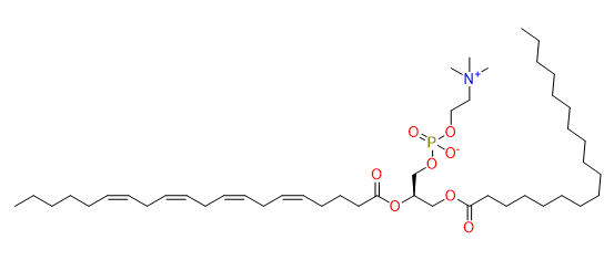 1-Stearoyl-2-arachidonoyl-sn-glycero-3-phosphocholine