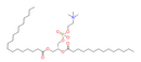 1-Stearoyl-2-myristoyl-sn-glycero-3-PC