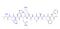 β-Amyloid (12-20)