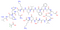 β-amyloid (12-28) (TFA)