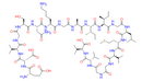 β-Amyloid (22-40) - CAS