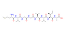 β-Amyloid (35-42)