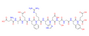 β-amyloid 1-11
