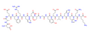 β-Amyloid 1-16 - CAS