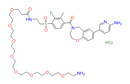 XL388-C2-amide-PEG9-NH2 hydrochloride