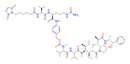 VcMMAE