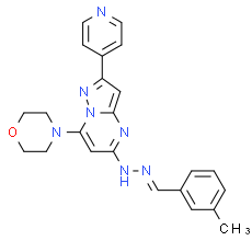 APY0201 - CAS