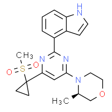AZ20 - CAS