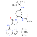 BMS-813160 - CAS